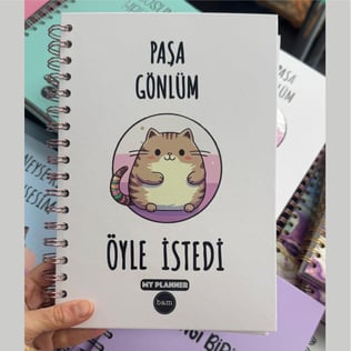 Paşa Gönlüm Öyle İstedi Konuşan Ajanda