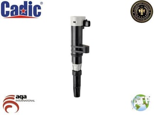 ATEŞLEME BOBİNİ AVANTIME (01-03) CLIO II (99-15) CLIO III (05-15) ESPACE III (96-02) ESPACE IV (02-) FLUENCE (08-) KANGOO I (98-07) KANGOO II-III (08-) LAGUNA II (01-07) LAGUNA III (07-) LOGAN I (04-) MEGANE I (96-03) MEGANE II (02-08) MEGANE III (08