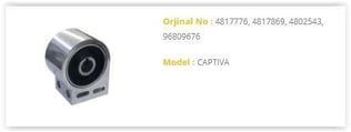 SALINCAK BURCU ANTARA CAPTIVA