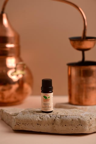 BİBERİYE UÇUCU YAĞI 10 ml  (Rosmarinus officinalis L.)
