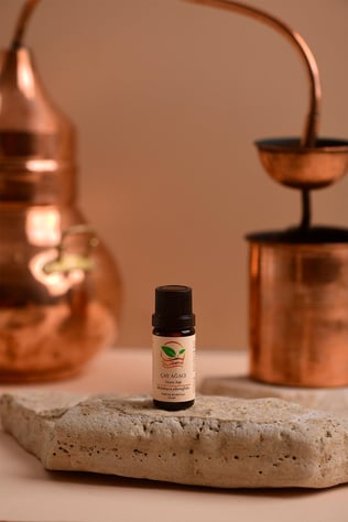ÇAY AĞACI (TEA TREE) UÇUCU YAĞI 10 ML (Malaleuca alternifolia)