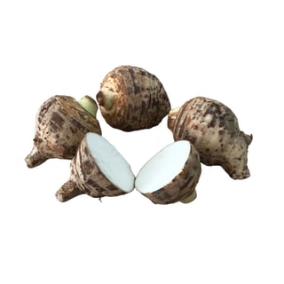 Kolakas Gölevez (1 kg) görseli.