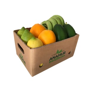 Mini Paket (1 kg Organik Muz + 1 Kg Organik Limon + 1 Kg Organik Portakal + 2 Adet Organik Avokado) görseli.