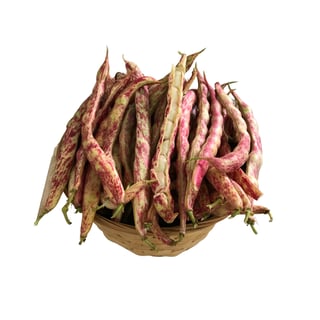 Organik Barbunya (500 Gr) görseli.