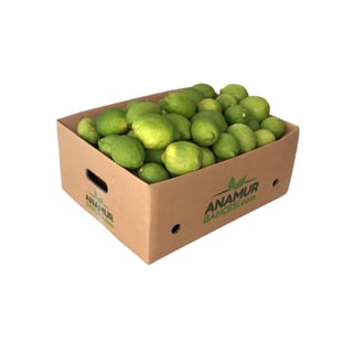Organik Yediveren (Kütdiken) Limon (10 Kg) görseli.