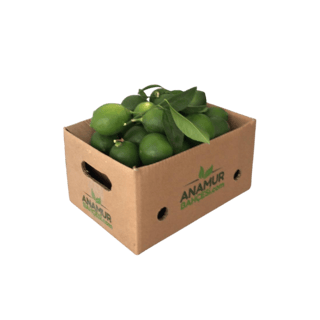 Organik Mayer Limon (10 Kg) görseli.