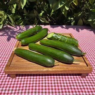 Organik Salatalık (500 Gr) görseli.