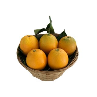 Organik Sıkmalık Portakal (1 Kg) görseli.