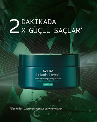 Aveda Botanical Repair Rich Masque 200ml