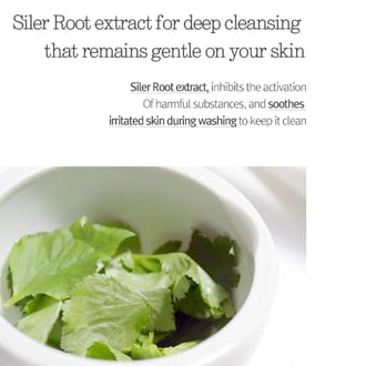 Pyunkang Yul Basic Cleansing Foam 150ml