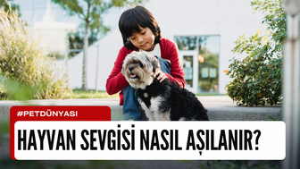 Çocuklara Hayvan Sevgisi Nasıl Aşılanır?