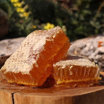 KUTU PETEK BAL 500 GRAM görseli.