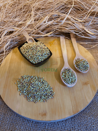 TANE KİŞNİŞ 1 KG görseli.