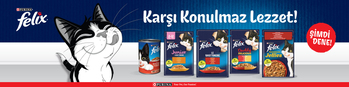 Felix Kedi Konserve Mamalar Pet Smart'ta