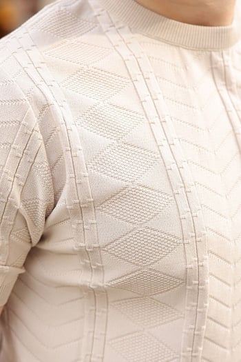 Taş Rengi Bisiklet Yaka Slim Fit Triko Erkek Tişört E7466