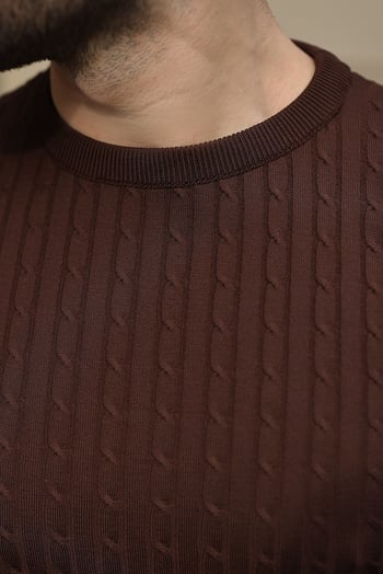 Kahverengi Bisiklet Yaka Triko Erkek Tişört E7468