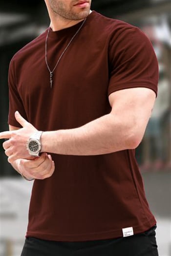 Acı Kahverengi Regular Fit Basic Erkek Tişört 6131