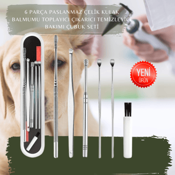 6 Parça Paslanmaz Çelik Kulak Temizleyici Balmumu Çıkarıcı Bakımı Seti
