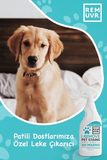 REMUVR Kediler & Köpekler Için Leke Ve Koku Giderici Sprey 750 ml
