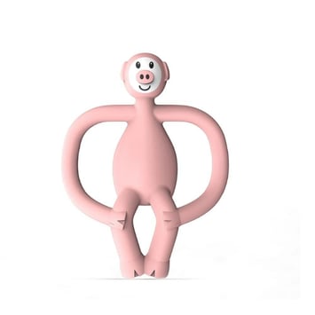 Matchstick Monkey  Silikon Diş Kaşıyıcı / Pickle Pig