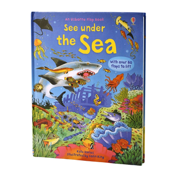Usborne See Inside Under The Sea