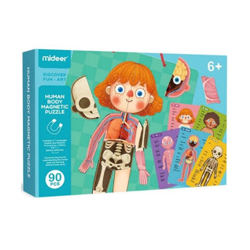 Mideer Vücut Mıknatısı