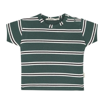 Antebies Galaxy Stripe Kısa Kollu Tişört