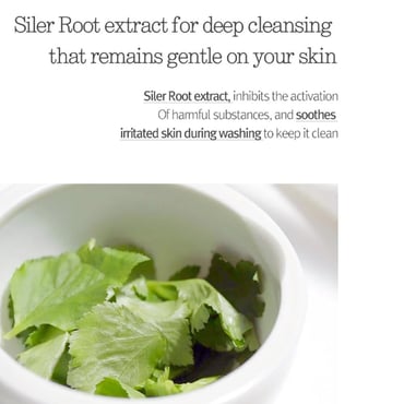 Pyunkang Yul Basic Cleansing Foam 150ml