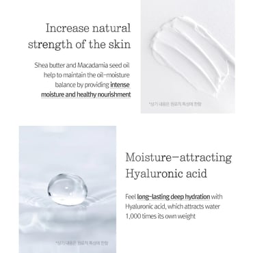 Pyunkang Yul Basic Nutrition Cream 100ml