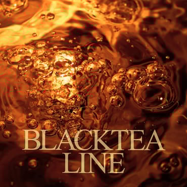 Pyunkang Yul Black Tea Gift Set