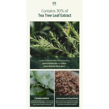 Pyunkang Yul Calming Acne Cleansing Foam 100ml