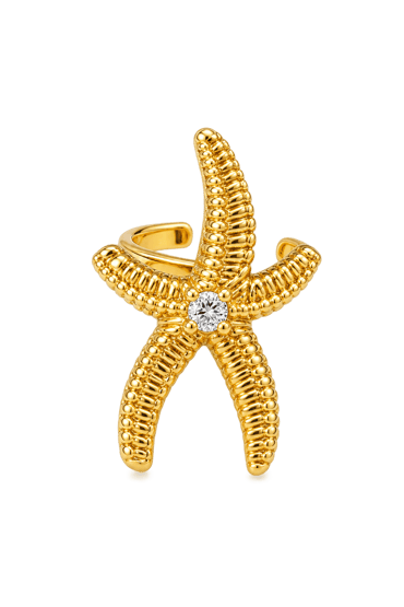 Yıldız Ear Cuff 