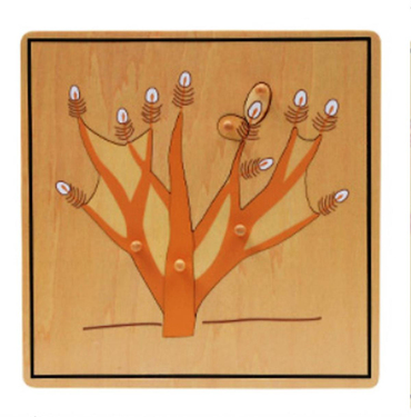 Ağaç Kökü Puzzle