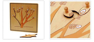 Ağaç Kökü Puzzle