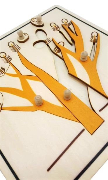 Ağaç Kökü Puzzle