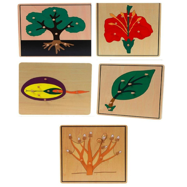 Bitkiler 5’li Puzzle Set