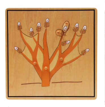 Bitkiler 5’li Puzzle Set