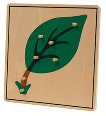 Bitkiler 5’li Puzzle Set