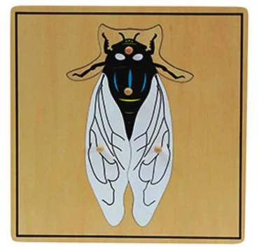 Böcekler 6’lı Puzzle Set