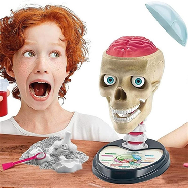 Clementoni Bilim Ve Oyun Çılgın Anatomi