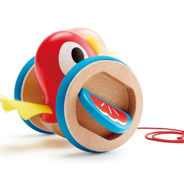 Hape Oyuncak Kuş