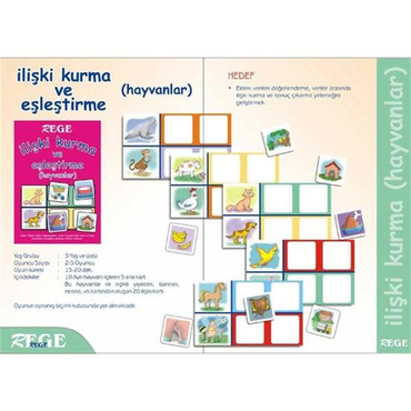 İlişki Kurma Ve Eşleştirme -  Hayvanlar
