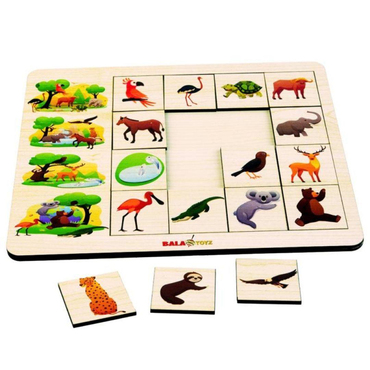 Kodlamaya Giriş İlişkiler Doğa  Puzzle