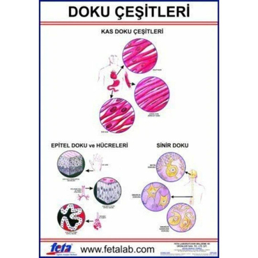 Oscar Doku Levhası
