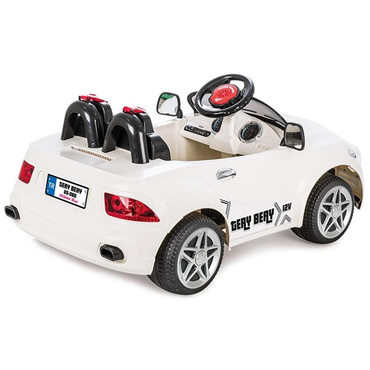 Pilsan Tery Bery 12V Akülü Araba