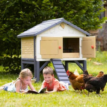 Smoby Cluck Cluck Tavuk Kümesi