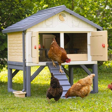 Smoby Cluck Cluck Tavuk Kümesi