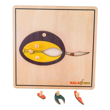 Tohum Filizlenme Puzzle