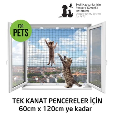 Kedi Pencere Ağı
