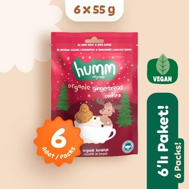 Organik Vegan Zencefilli ve Tarçınlı Kurabiye 6 adet görseli.